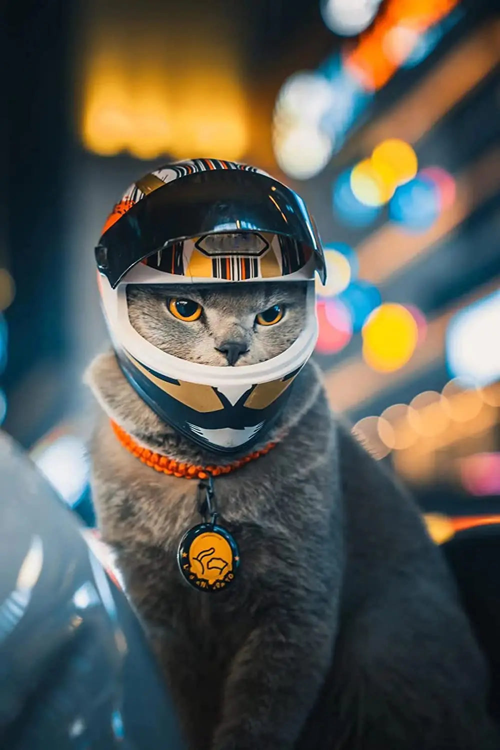 Full Face Pet Motorcycle Helmet